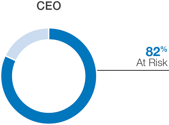 pg45-piechart_payforperformanceCEO.jpg